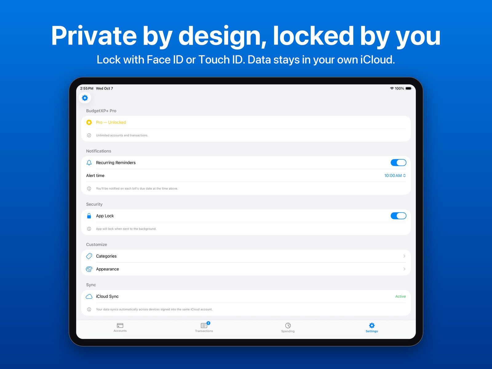 iPad Settings with App Lock on and iCloud Sync active. Private by design, locked by you.