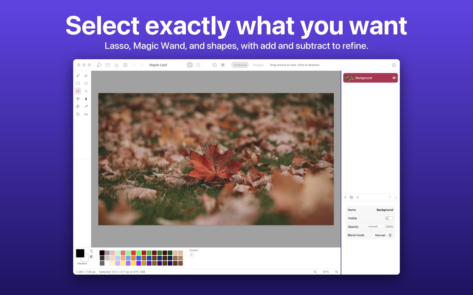 A lasso selection traced around a red maple leaf. Select exactly what you want.